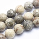 Natural Fossil Coral Beads Strands UK-G-K256-11-20mm-1