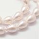 Rainbow Plated Shell Pearl Beads Strands UK-BSHE-L027-01-10x13-3