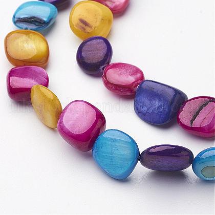 Erose Natural Freshwater Shell Beads Strands UK-X-SHZM002-1
