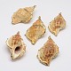 Golden Electroplated Conch Shell Pendants UK-BSHE-M016-04-1