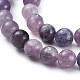 Natural Lepidolite/Purple Mica Stone Beads Strands UK-G-E545-01A-6