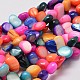 Shell Beads Strands UK-G-L444-10-K-1