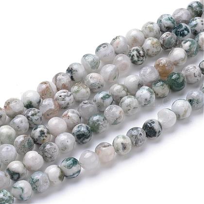 Natural Tree Agate Bead Strands UK-G-R411-25-4mm-1