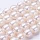 Natural Cultured Freshwater Pearl Beads Strands UK-PEAR-P002-09-1
