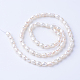 Natural Cultured Freshwater Pearl Beads Strands UK-X-PEAR-S010-04-2