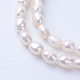 Natural Cultured Freshwater Pearl Beads Strands UK-X-PEAR-S010-04-1