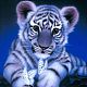 DIY 5D Animals Tiger Pattern Canvas Diamond Painting Kits UK-DIY-C021-05-1