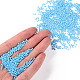 11/0 Grade A Baking Paint Glass Seed Beads UK-X-SEED-N001-A-1019-4