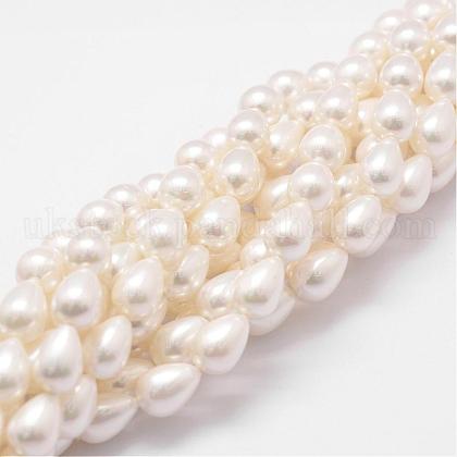 Rainbow Plated Shell Pearl Beads Strands UK-BSHE-L027-01-8x11-1