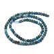 Natural Apatite Beads Strands UK-G-I254-08A-2