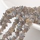 Chip Natural Labradorite Bead Strands UK-G-M349-11-1