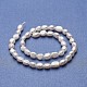 Natural Cultured Freshwater Pearl Beads Strands UK-PEAR-P060-25C-2