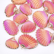 Sea Shell Pendants