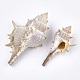 Conch Shell Beads UK-SSHEL-S258-57-2