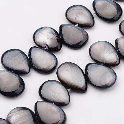 Natural Shell Beads Strands UK-X-BSHE-P019-11-1
