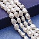 Natural Cultured Freshwater Pearl Beads Strands UK-PEAR-P060-25C-1