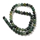Natural Moss Agate Round Beads Strands UK-X-G-S151-6mm-5